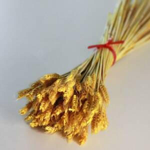50 Stück - Natürlich getrocknete Weizen in gelb für DIY Projekte und Sträuße